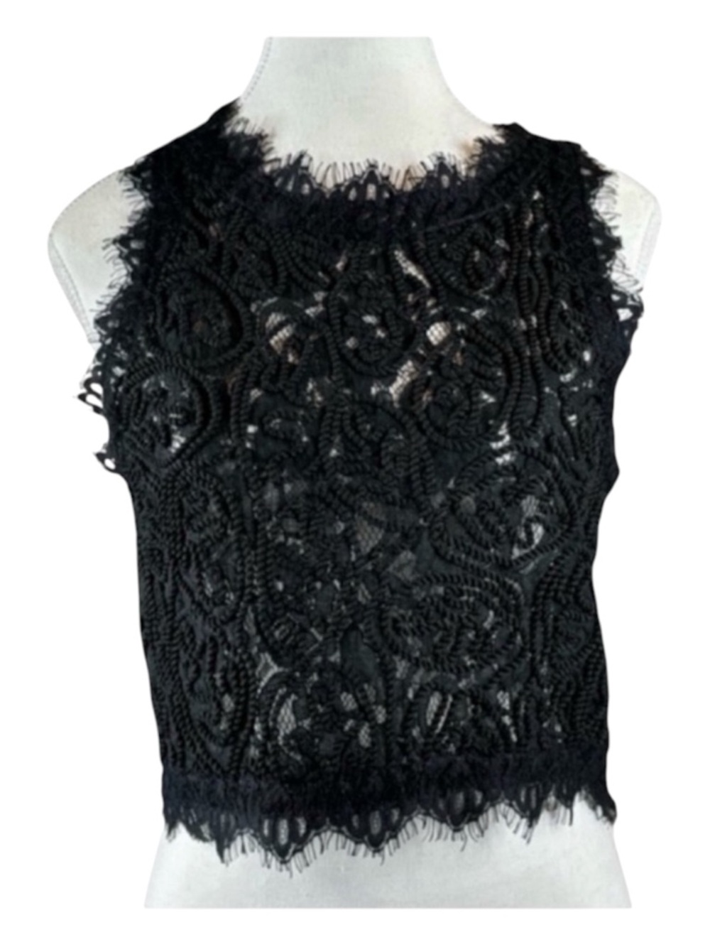 SANS SOUCI Crop Top, Braided Design, Sheer See-Thru, Hidden Side Zip, Size M.